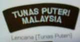 Lencana Tunas Puteri