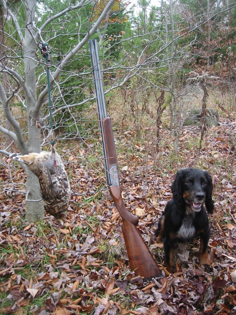 Cold Duck The Over/ Under Is 20 For The Best Bet In Shotguns