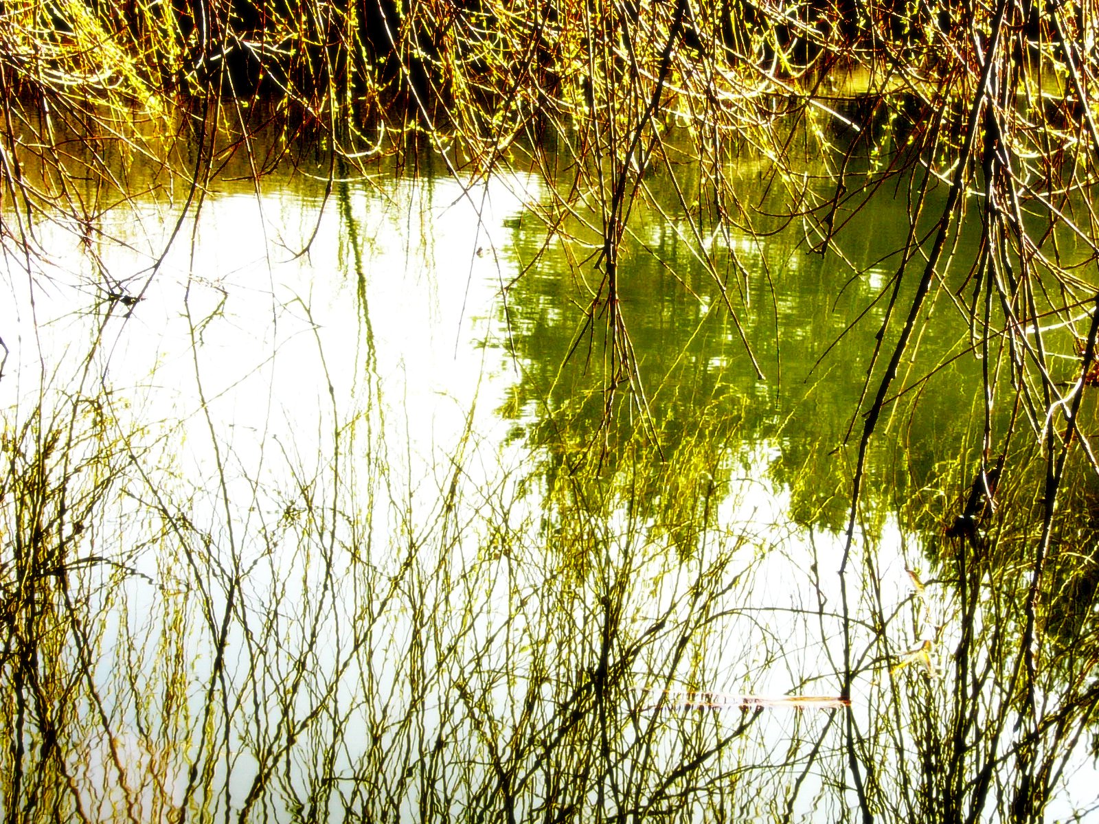 [fotók+2007március+066.jpg]