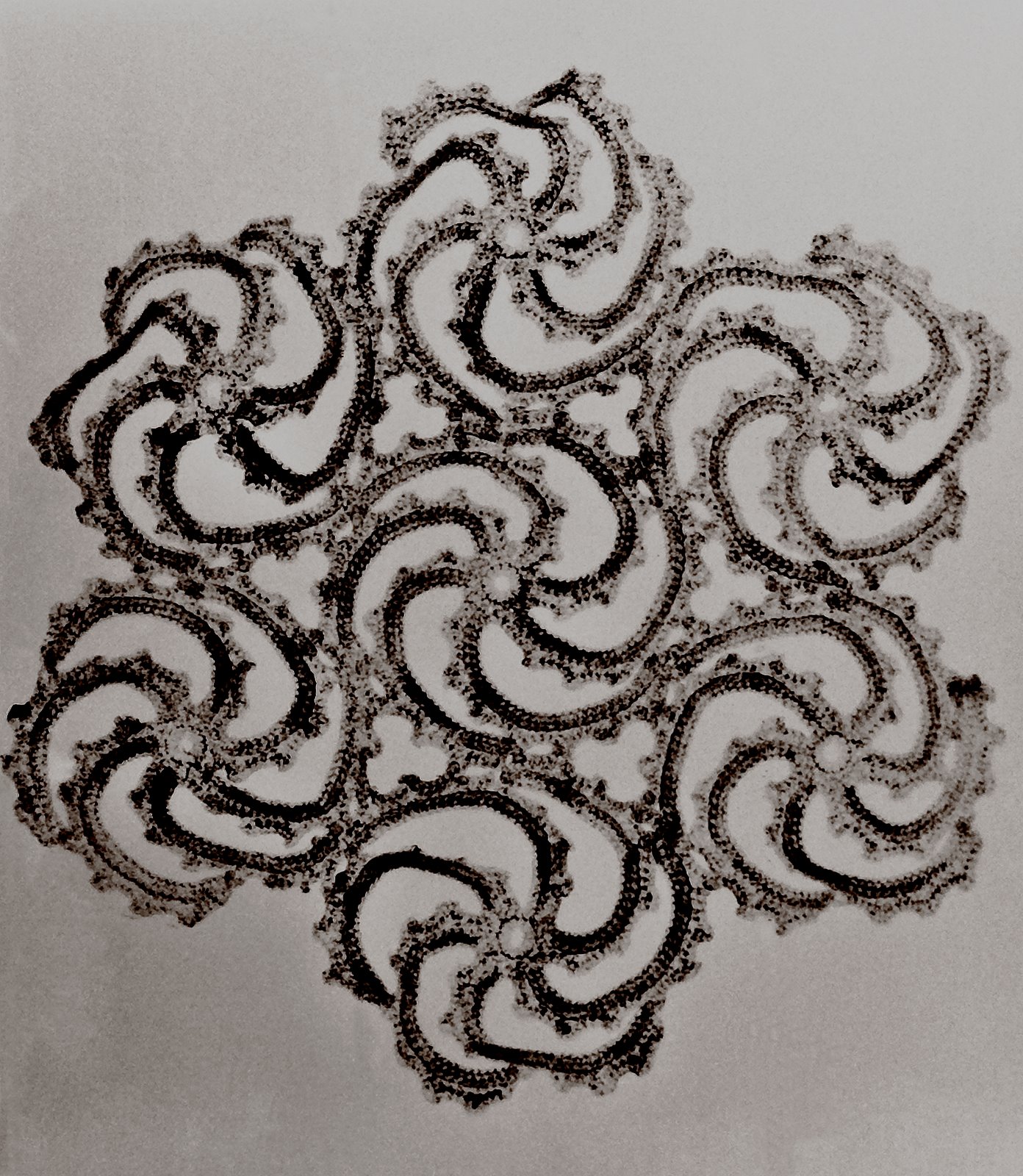 [DSC_9881-1+pozitív.jpg]