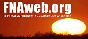 Safari Fotográfico de FNA  Fotografía de Naturaleza Argentina, en PenínsulaValdés