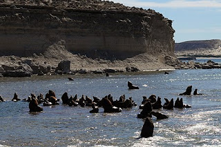 Marea alta por la mañana en Puerto Pirámides