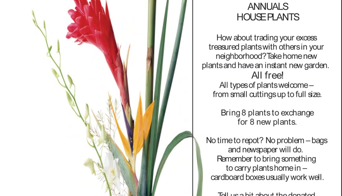 Sidney Center Improvement Group, Inc. Spring Plant Exchange!