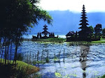 Indonesian Nature