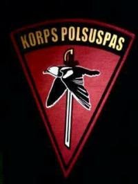 corps polsuspas: picture