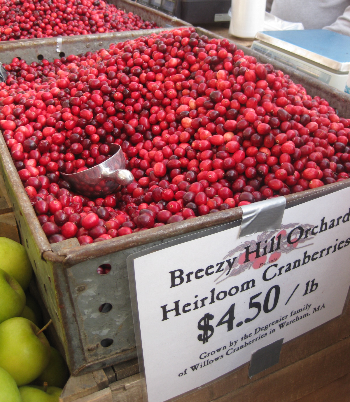 Thanksgiving photo booth sign
