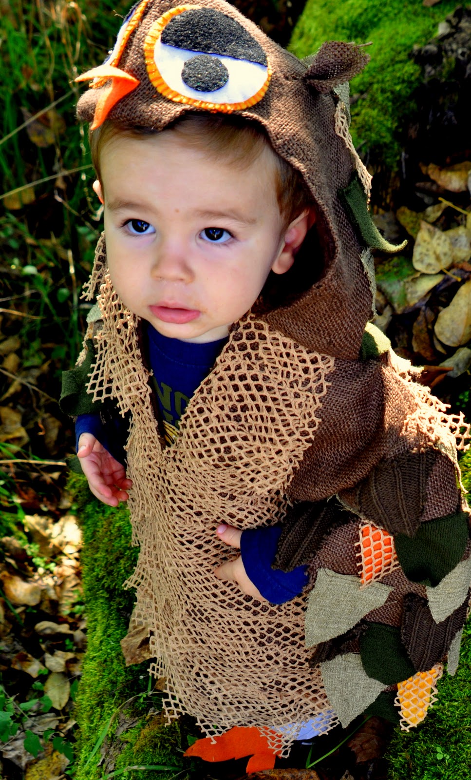 Finding My Aloha Handmade Owl Costume