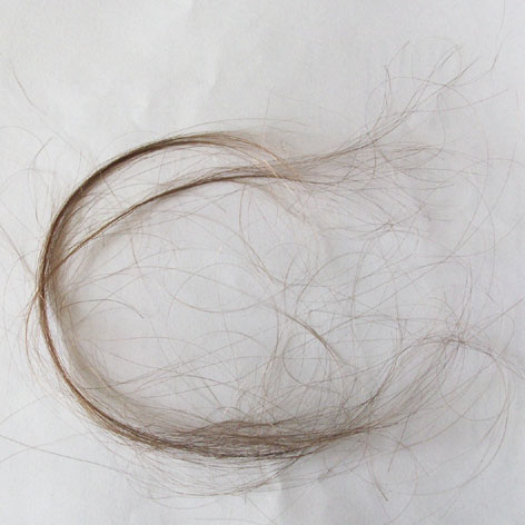[haar.jpg]