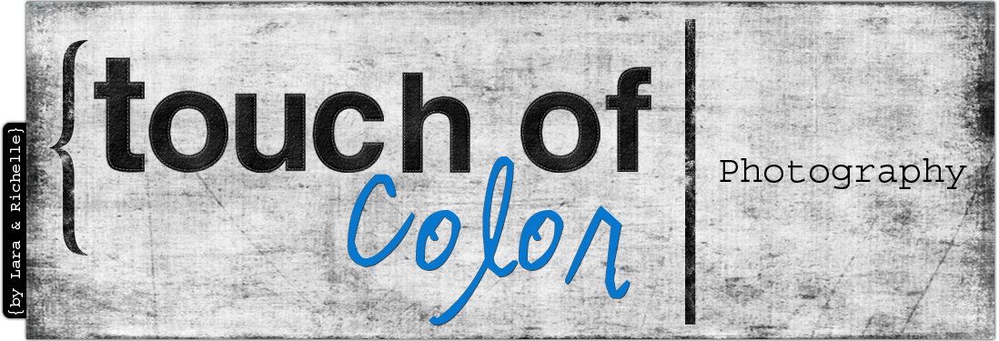 Touch of Color Photography
