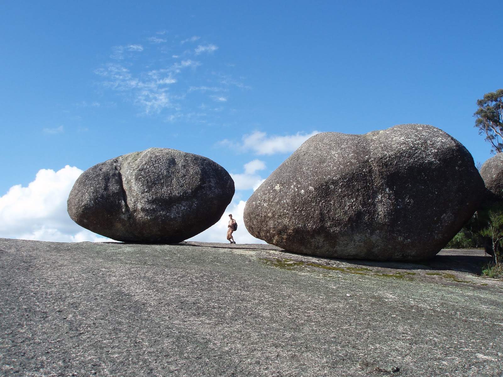 Uprooted Gardener: The Second Biggest Rock in Oz.