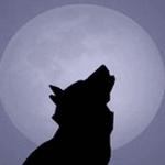 Mensagem do Lobo Imagem do Lobo