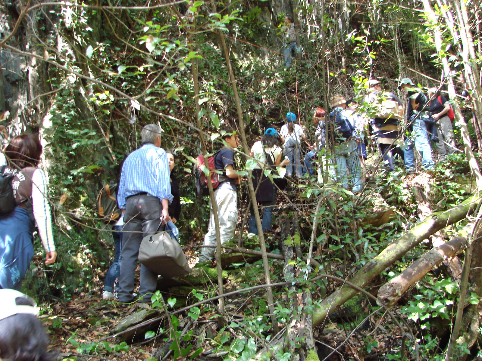 [DSC09647.JPG]