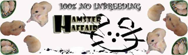 Hamsters Affair