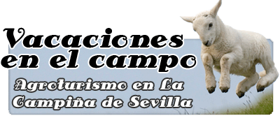 Bitacoras del alojamiento rural Huerta La Cansina