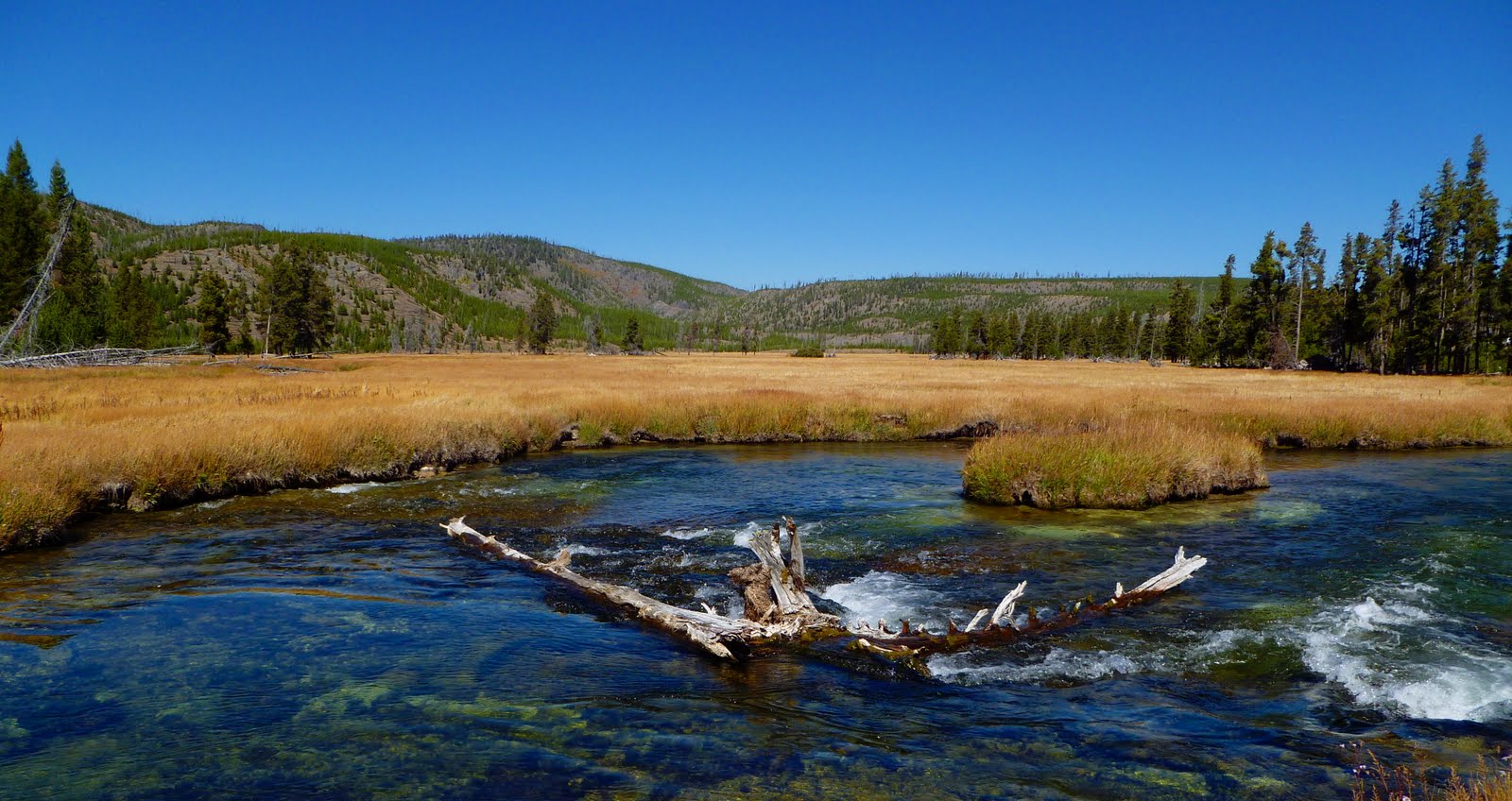 Firehole Yellowstone
