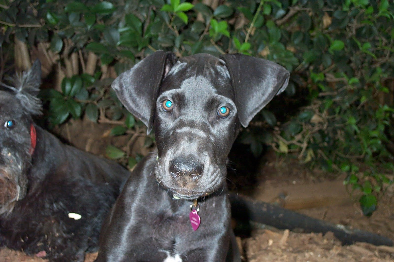 [Lola+7-06.JPG]