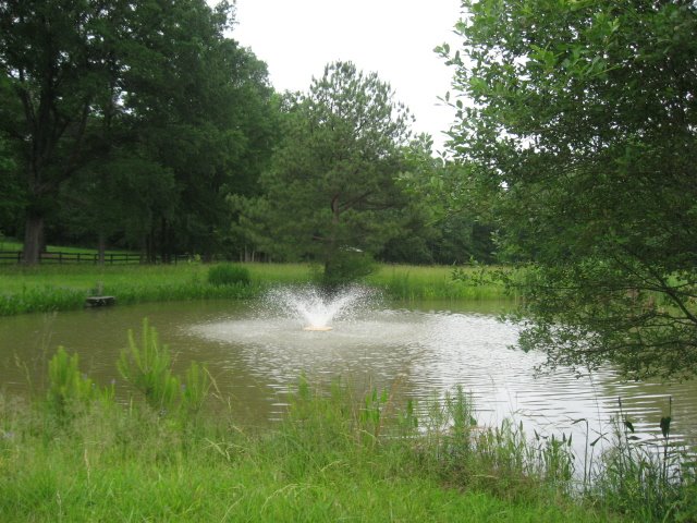 [IMG_0863.JPG]