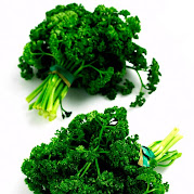 Parsley 3
