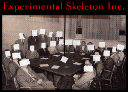 experimental skeleton