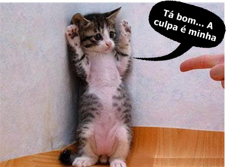 a+culpa+%C3%A9+minha.jpg