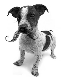 moustache+puppy.jpg