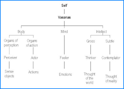 Body Mind Intellect Chart