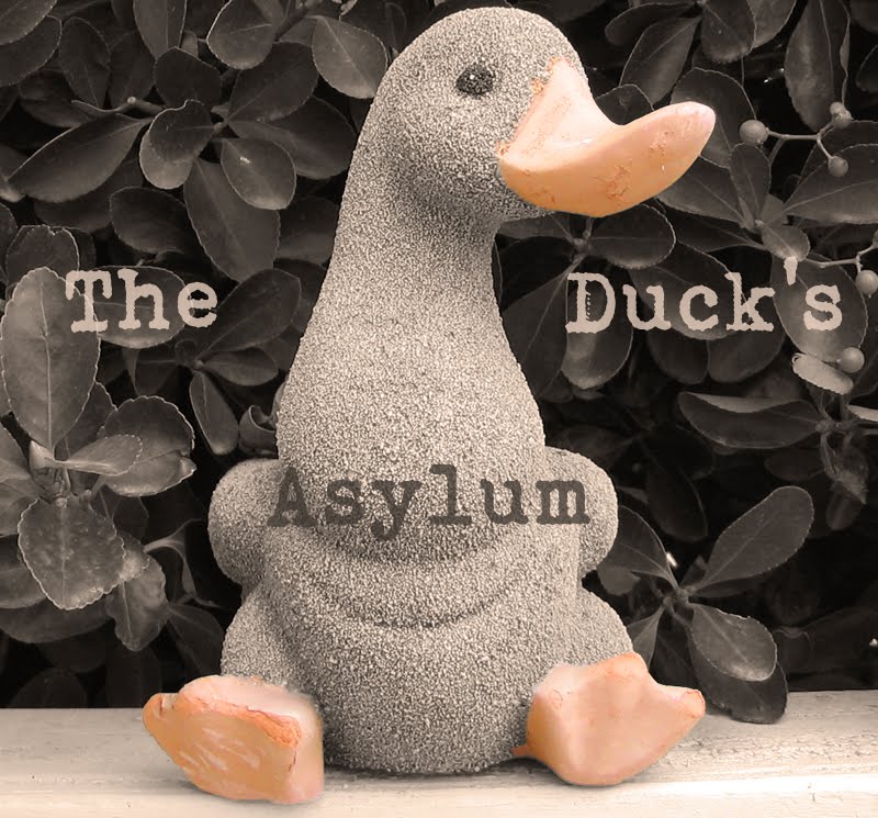 The Duck's Asylum