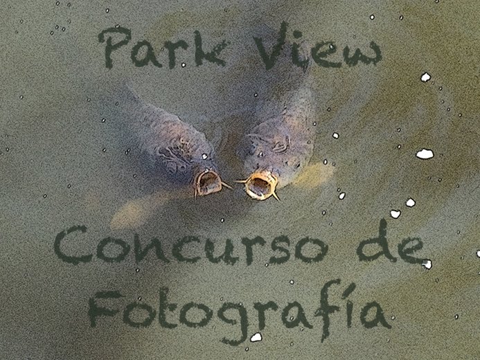 Concurso Fotográfico "Park View"