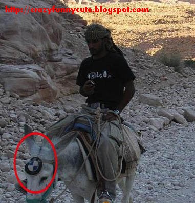Donkey Bmw