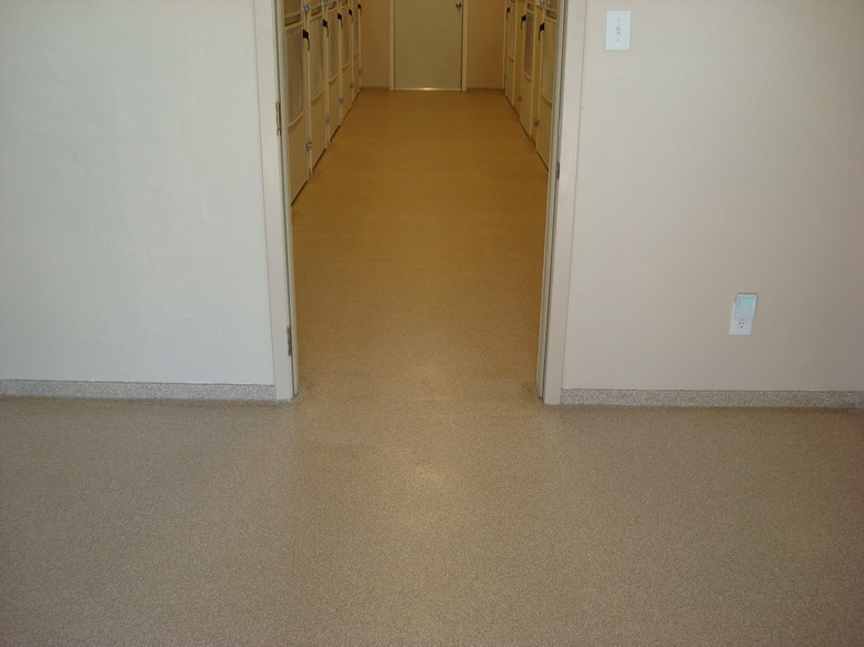 Epoxy Floor Coatings Epoxy Floor Coating on Dog Kennel Floor