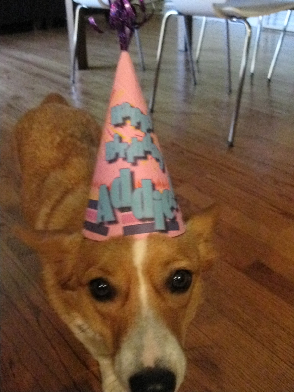 [addie4]