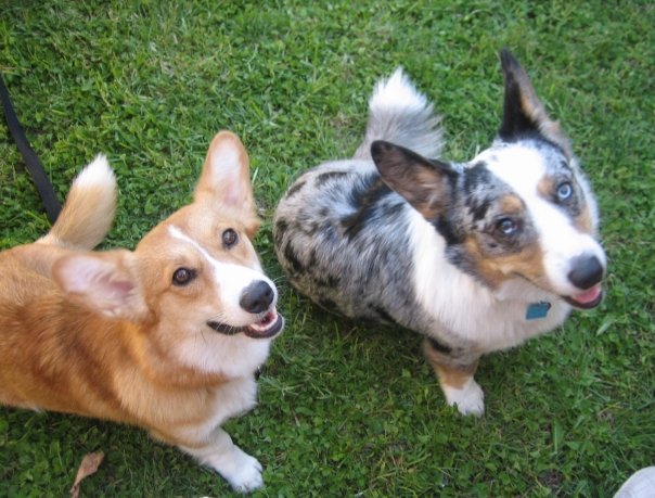 [einandkalliope2.jpg]