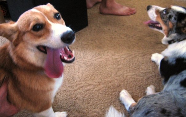 [einandkalliope.jpg]