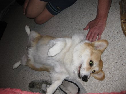 [tootsiepup30.jpg]