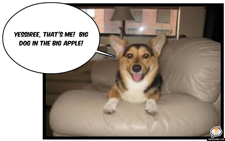 [reggie.jpg]