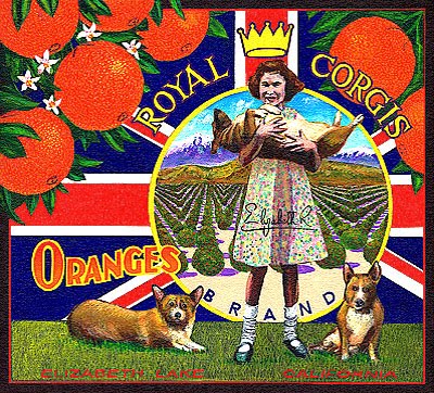 [royalcorgis.jpg]
