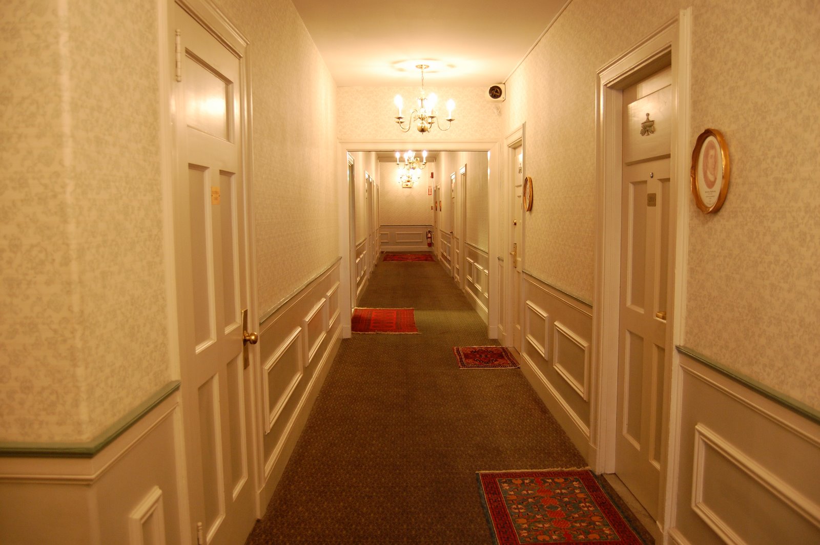 [DSC_0065.JPG]