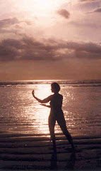 www-tai-chi-gong.org