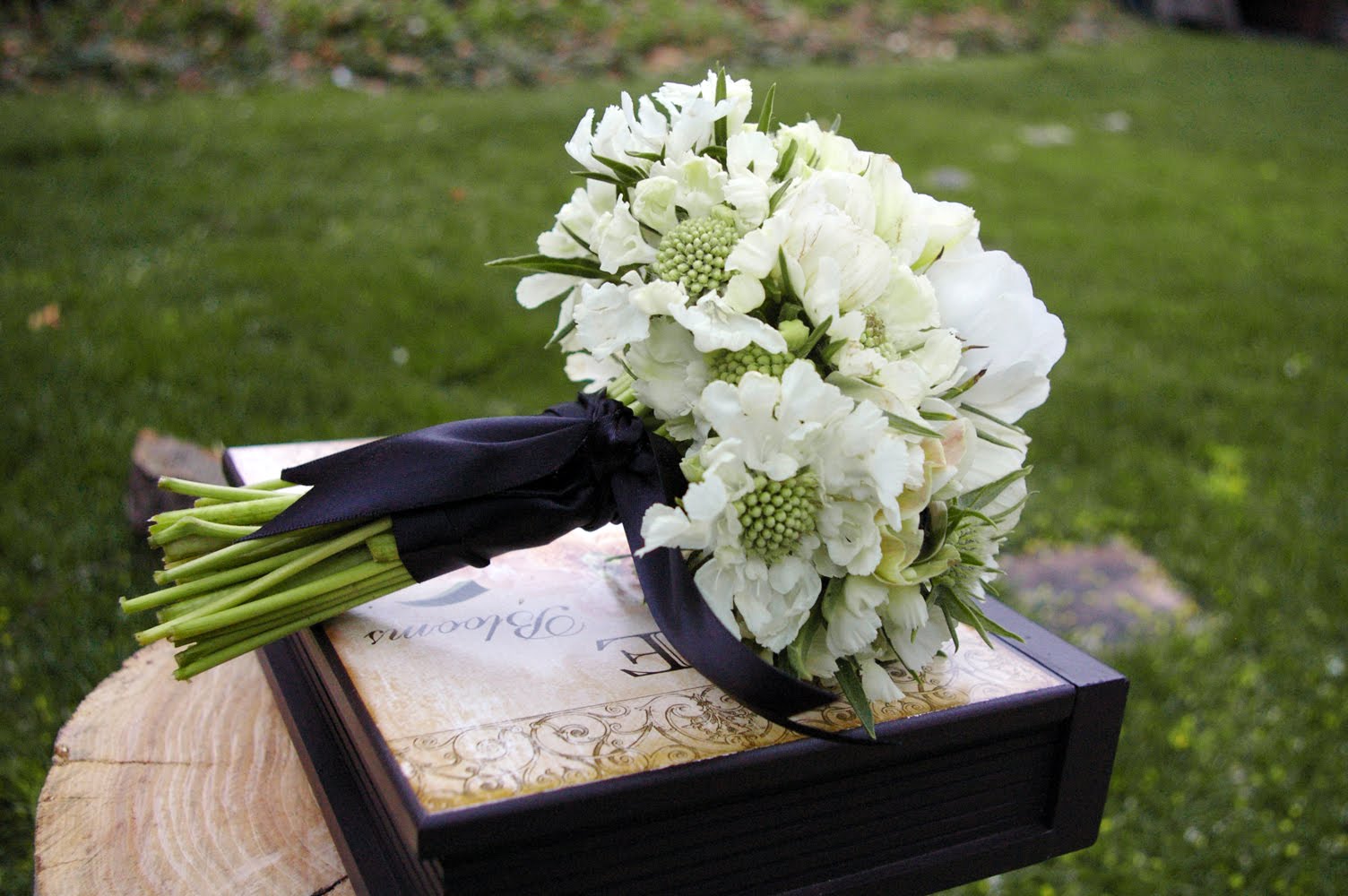 http://3.bp.blogspot.com/_jz5IpQCMTwo/S9ouM9mDp2I/AAAAAAAACrc/AqccU4g-4Ek/s1600/white+bridal+bouquet+utah+wedding+flowers+studio+stems+white+anemone+scabiosa+white+green+black+bouquet.jpg