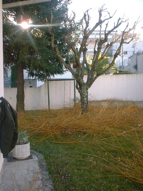 [DSCF0003.JPG]