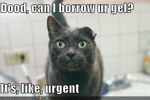 [funny-pictures-floppy-cat-asks-to-borrow-your-gel.jpg]