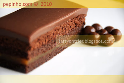 Mousse de chocolate con albaricoque