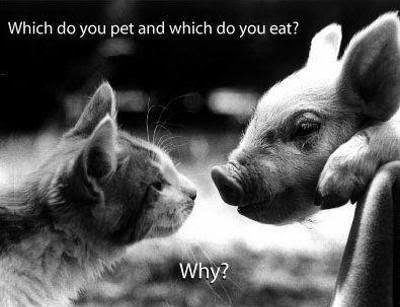 Be Kind to Animals, Go Vegan!