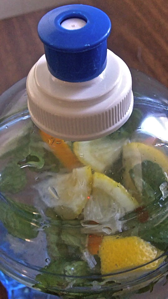 Citrus Mint Water Flavored Water Recipes Divas Can Cook