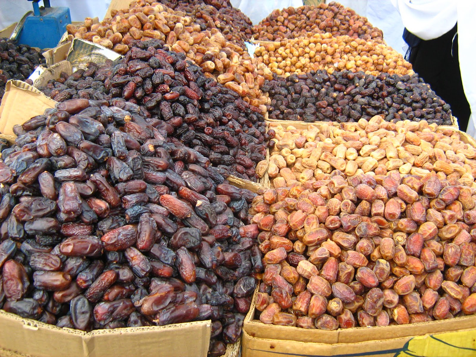 Shia Photo Blog Dates of Madina