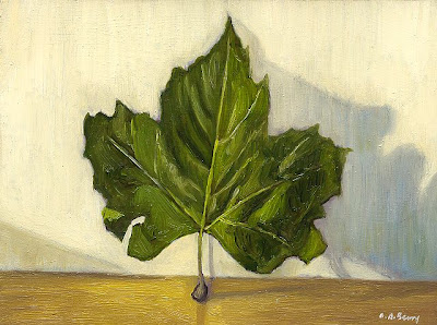 London Plane Leaf