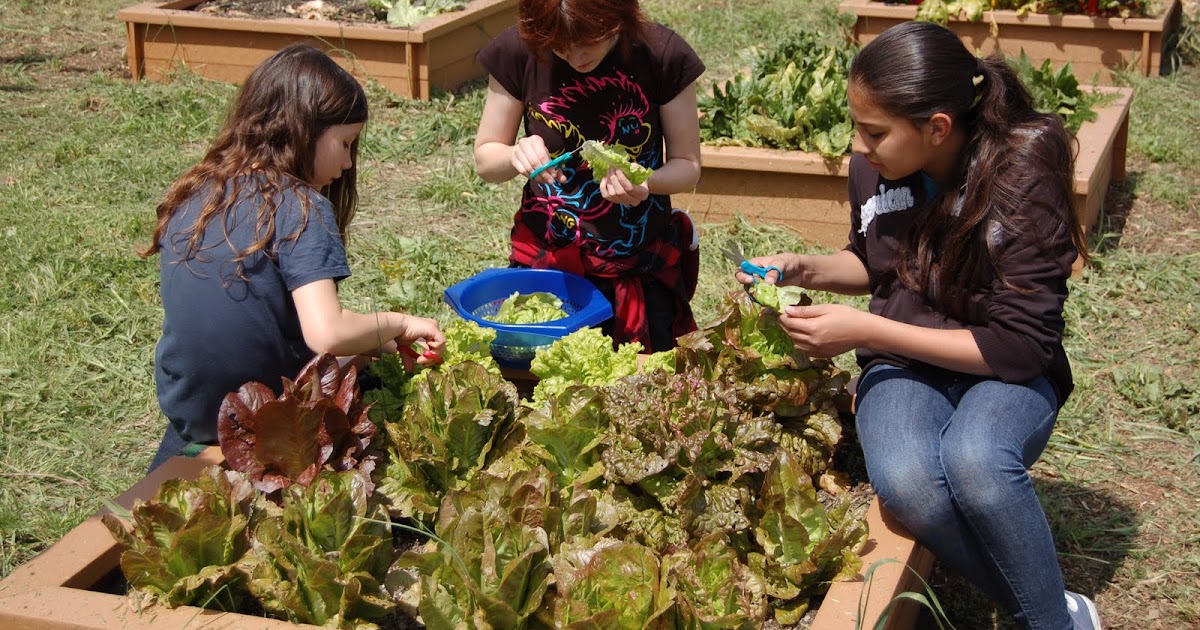 Miller Creek Edible Garden My Proposal