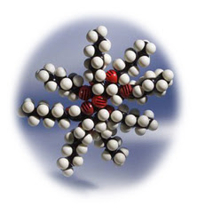 enzymes