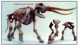 informacion sobre el mastodonte informacion sobre el mastodonte
