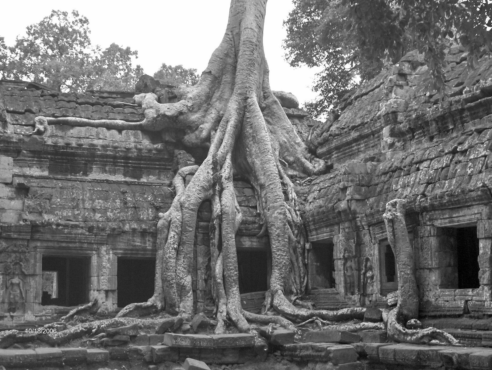 [Angkor+-+Ta+Prohm+4.jpg]